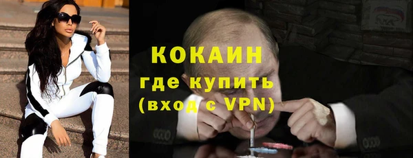 ешки Дмитриев