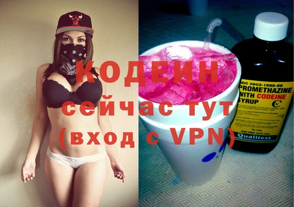 ешки Дмитриев