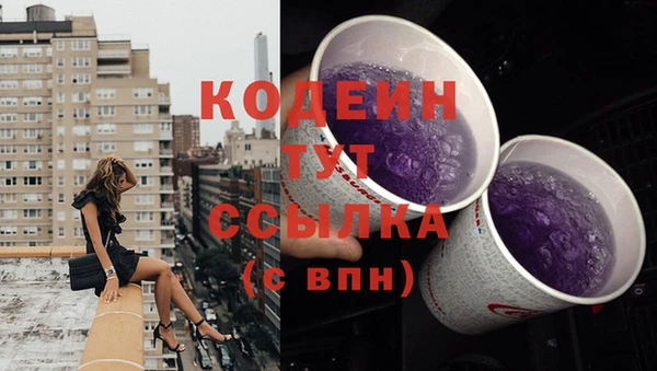 ешки Дмитриев