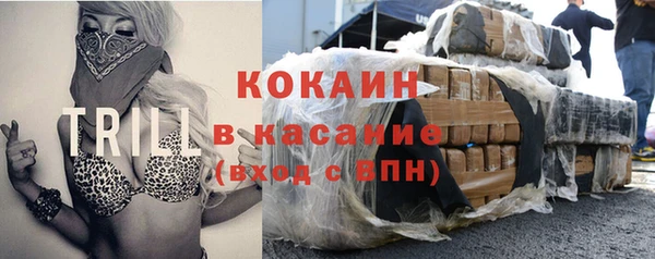 ешки Дмитриев