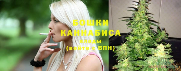 ешки Дмитриев