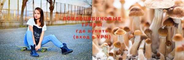 дурь Дмитровск