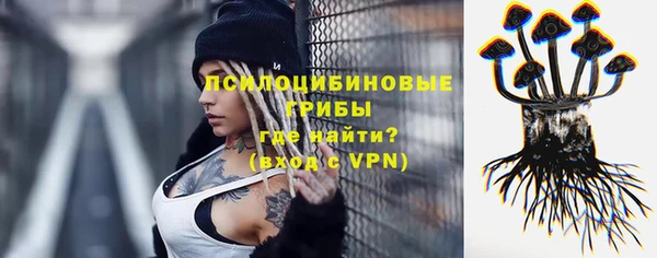 ешки Дмитриев