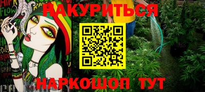 сатива Краснознаменск