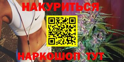 сатива Краснознаменск