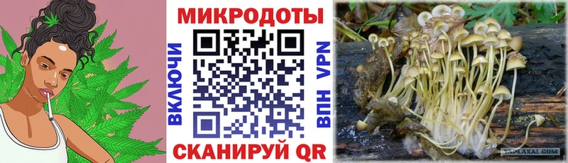 Псилоцибиновые грибы GOLDEN TEACHER Дмитров