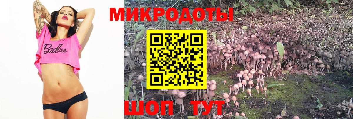 Дмитров  Галлюциногенные грибы Psilocybe  Вход с VPN  Галлюциногенные грибы мухоморы 